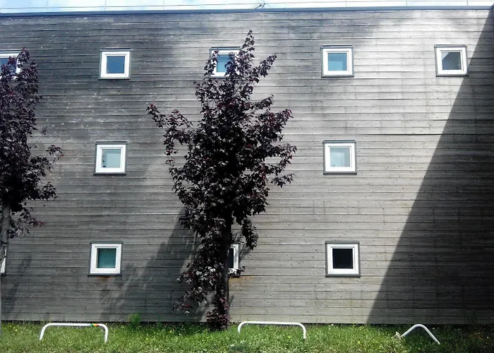 Merogis フルーリー・メロジ